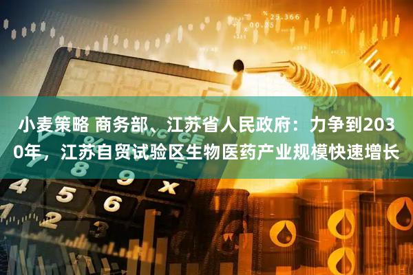 小麦策略 商务部、江苏省人民政府：力争到2030年，江苏自贸试验区生物医药产业规模快速增长