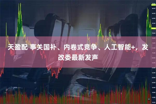 天盈配 事关国补、内卷式竞争、人工智能+，发改委最新发声